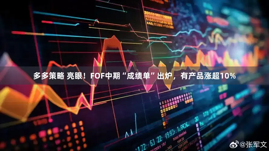 多多策略 亮眼！FOF中期“成绩单”出炉，有产品涨超10%
