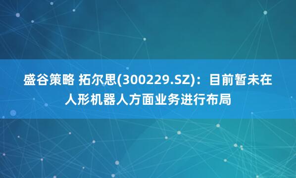 盛谷策略 拓尔思(300229.SZ)：目前暂未在人形机器人方面业务进行布局