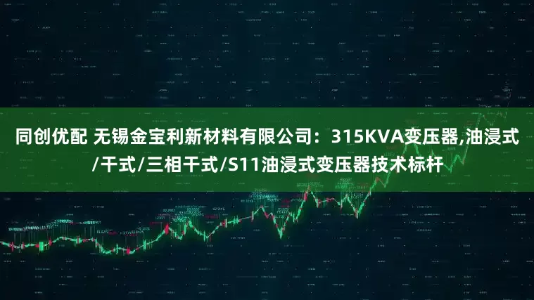 同创优配 无锡金宝利新材料有限公司:315KVA变压器,油浸式/干式/三相干式/S11油浸式变压器技术标杆