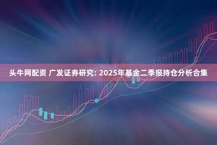 头牛网配资 广发证券研究: 2025年基金二季报持仓分析合集